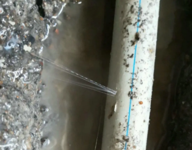 廊坊市测漏水哪家好