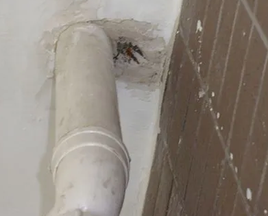 廊坊市漏水检测哪家好